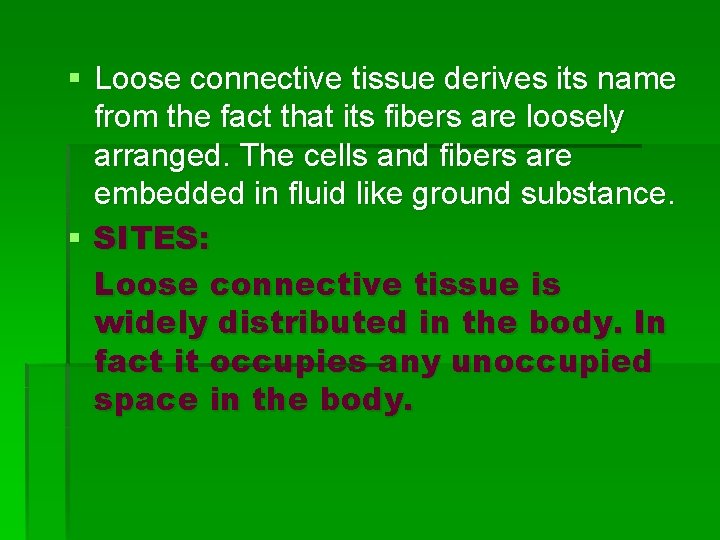 § Loose connective tissue derives its name from the fact that its fibers are