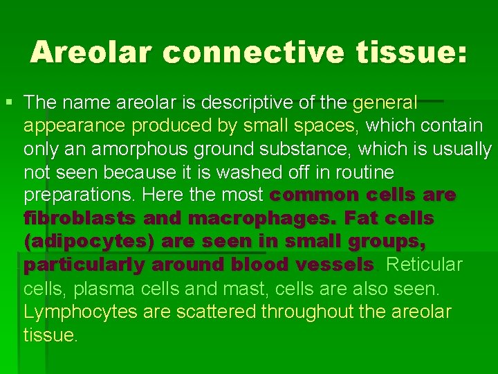 Areolar connective tissue: § The name areolar is descriptive of the general appearance produced