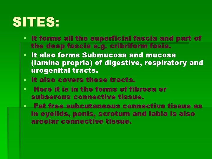 SITES: § It forms all the superficial fascia and part of the deep fascia SITES: § It forms all the superficial fascia and part of the deep fascia