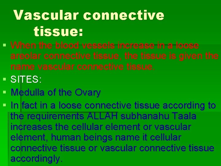 Vascular connective tissue: § When the blood vessels increase in a loose areolar connective