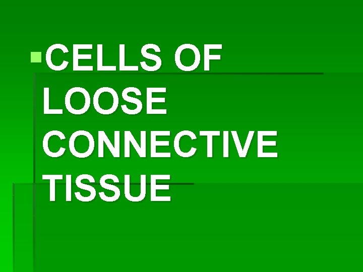 §CELLS OF LOOSE CONNECTIVE TISSUE 