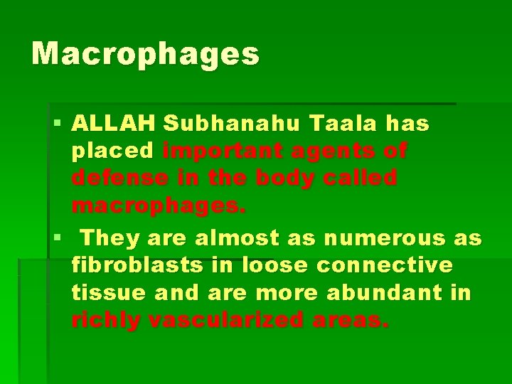 Macrophages § ALLAH Subhanahu Taala has placed important agents of defense in the body