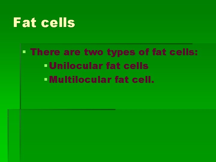Fat cells § There are two types of fat cells: § Unilocular fat cells