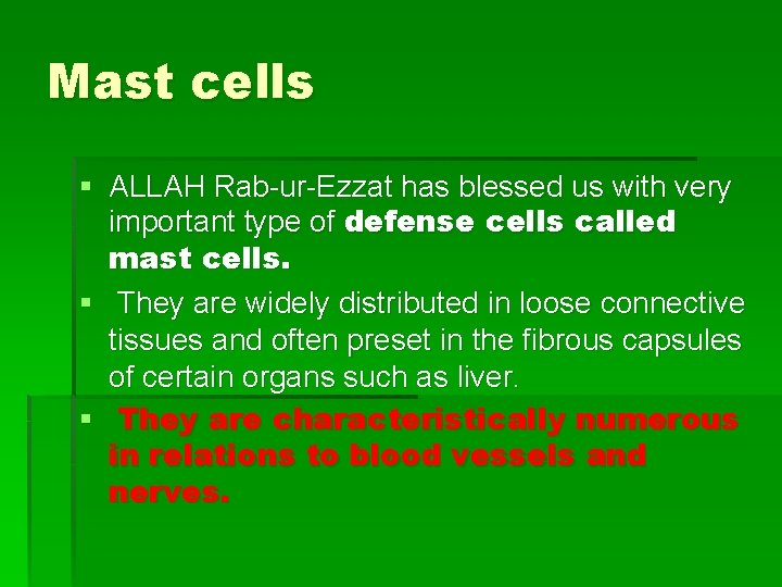 Mast cells § ALLAH Rab-ur-Ezzat has blessed us with very important type of defense Mast cells § ALLAH Rab-ur-Ezzat has blessed us with very important type of defense