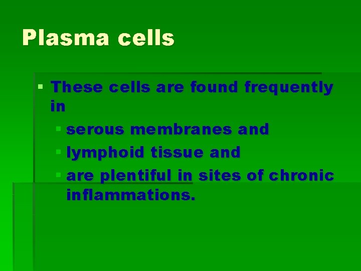 Plasma cells § These cells are found frequently in § serous membranes and §