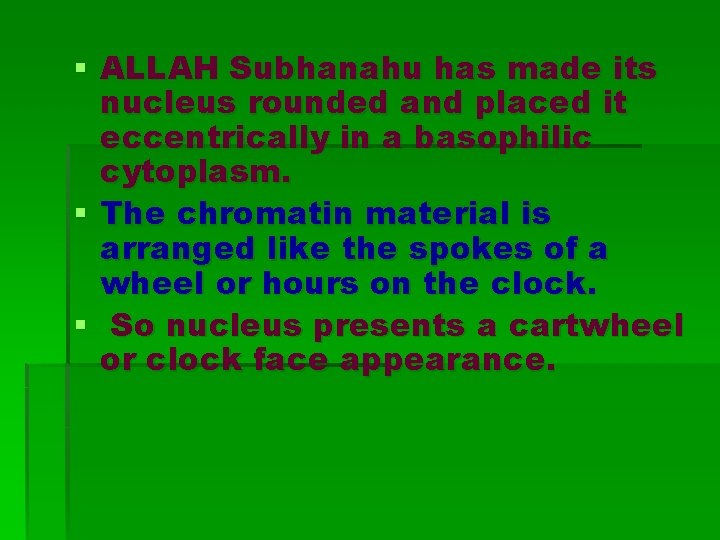 § ALLAH Subhanahu has made its nucleus rounded and placed it eccentrically in a