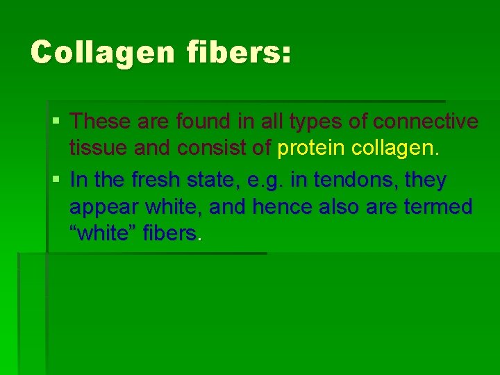 Collagen fibers: § These are found in all types of connective tissue and consist