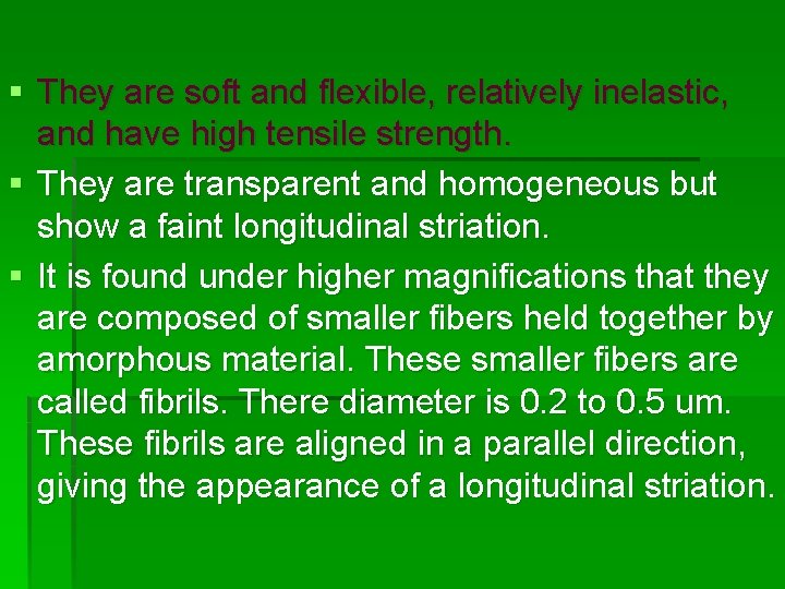 § They are soft and flexible, relatively inelastic, and have high tensile strength. §