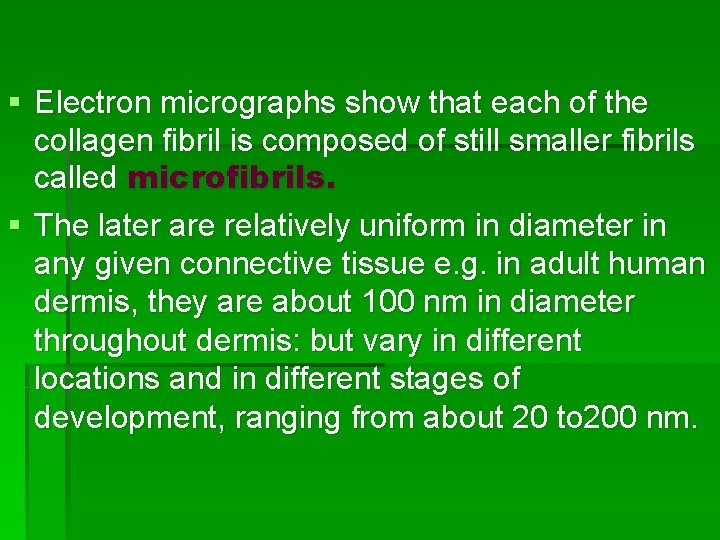§ Electron micrographs show that each of the collagen fibril is composed of still § Electron micrographs show that each of the collagen fibril is composed of still