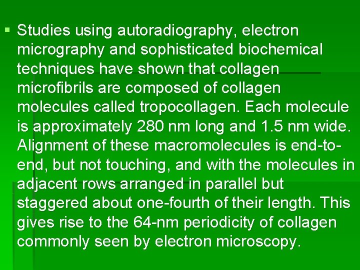 § Studies using autoradiography, electron micrography and sophisticated biochemical techniques have shown that collagen