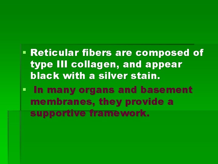 § Reticular fibers are composed of type III collagen, and appear black with a