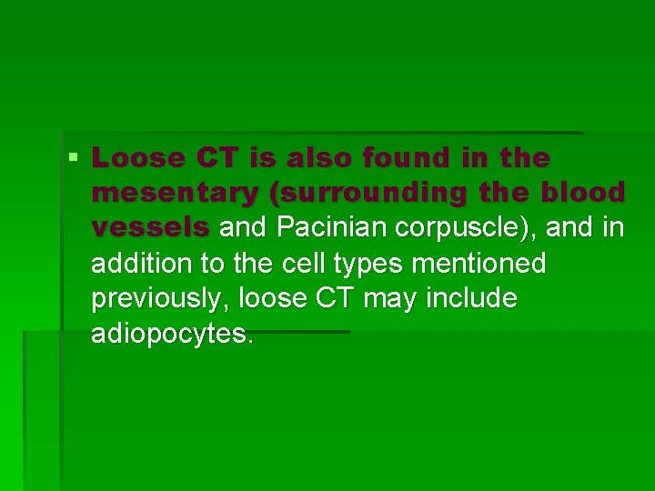 § Loose CT is also found in the mesentary (surrounding the blood vessels and
