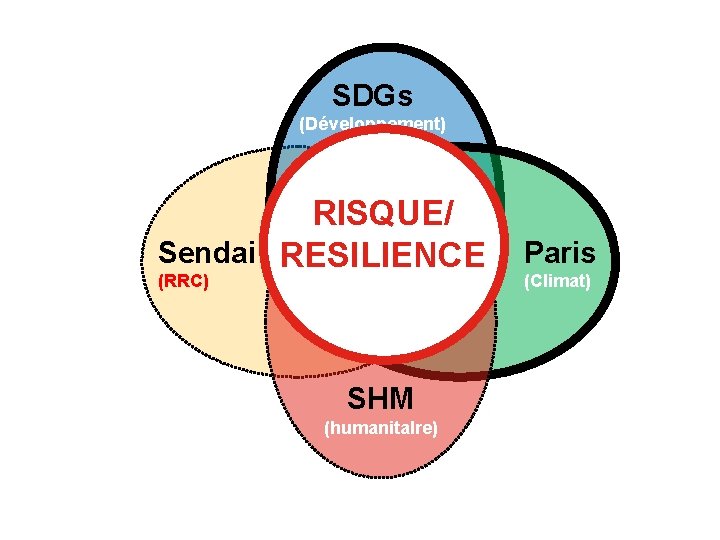SDGs (Développement) RISQUE/ Sendai RESILIENCE (RRC) SHM (humanita. Ire) Paris (Climat) 