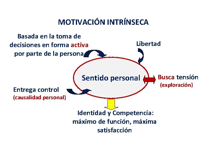 MOTIVACIÓN INTRÍNSECA Basada en la toma de decisiones en forma activa por parte de