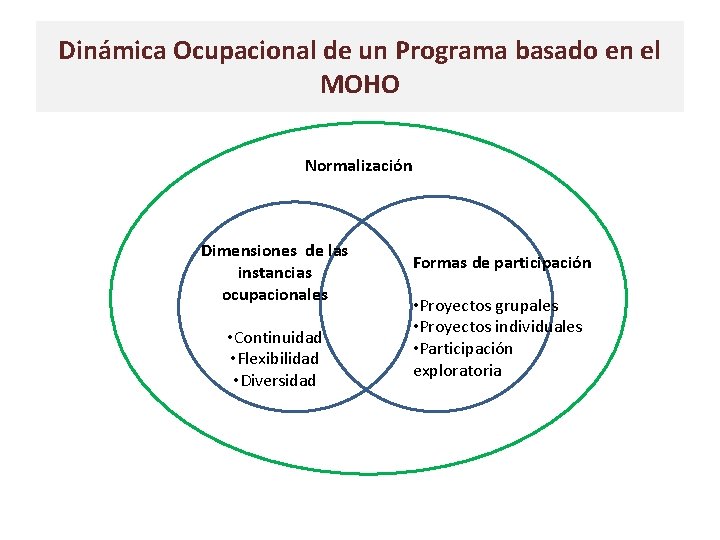 Dinámica Ocupacional de un Programa basado en el MOHO Normalización Dimensiones de las instancias