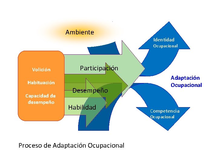 Ambiente Identidad Ocupacional Volición Participación Habituación Capacidad de desempeño Desempeño Habilidad Adaptación Ocupacional Competencia