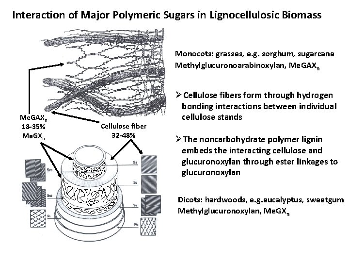 Engineering Bacillus subtilis biocatalysts for production of biofuels