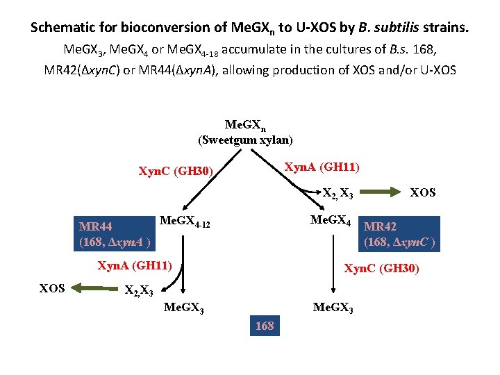 Engineering Bacillus subtilis biocatalysts for production of biofuels