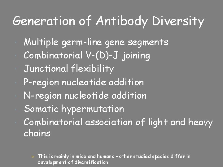 Generation of Antibody Diversity Multiple germ-line gene segments Combinatorial V-(D)-J joining Junctional flexibility P-region