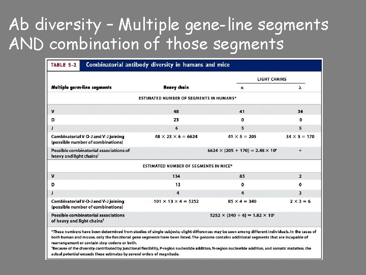 Ab diversity – Multiple gene-line segments AND combination of those segments 