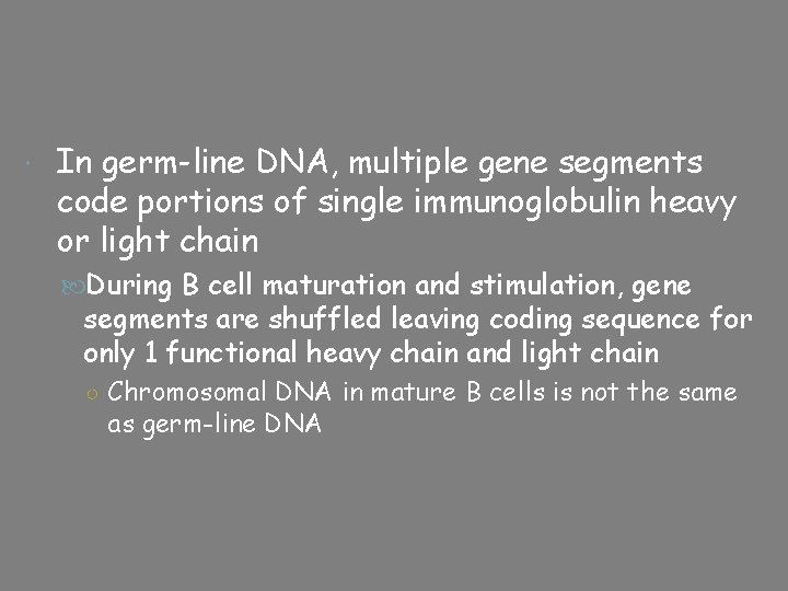  In germ-line DNA, multiple gene segments code portions of single immunoglobulin heavy or