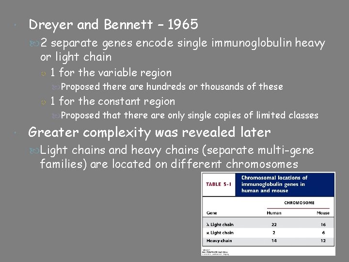  Dreyer and Bennett – 1965 2 separate genes encode single immunoglobulin heavy or