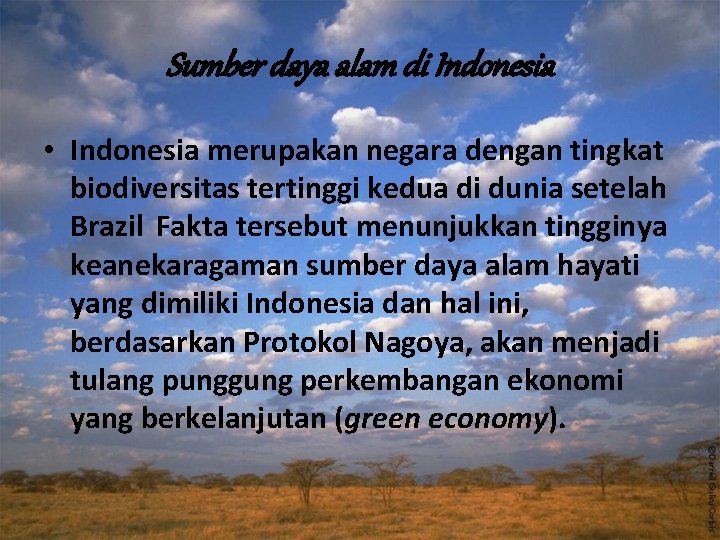 Sumber daya alam di Indonesia • Indonesia merupakan negara dengan tingkat biodiversitas tertinggi kedua