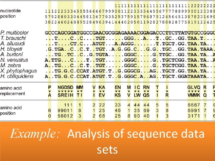 Example: Analysis of sequence data sets 