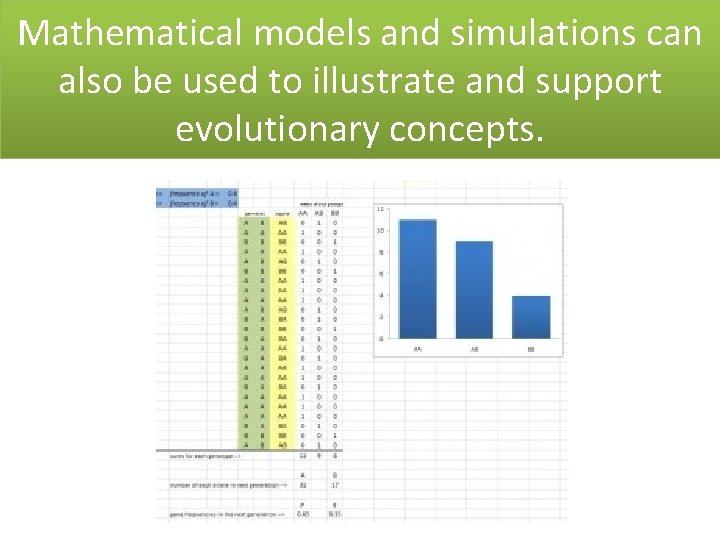 Mathematical models and simulations can also be used to illustrate and support evolutionary concepts.