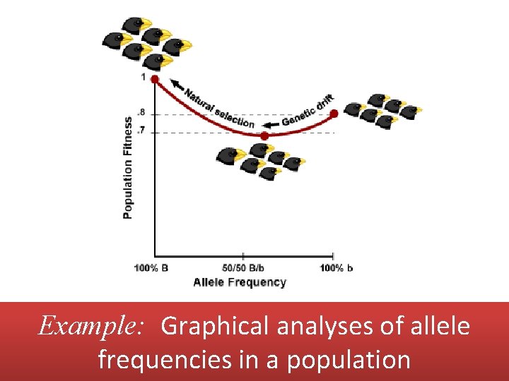 Example: Graphical analyses of allele frequencies in a population 