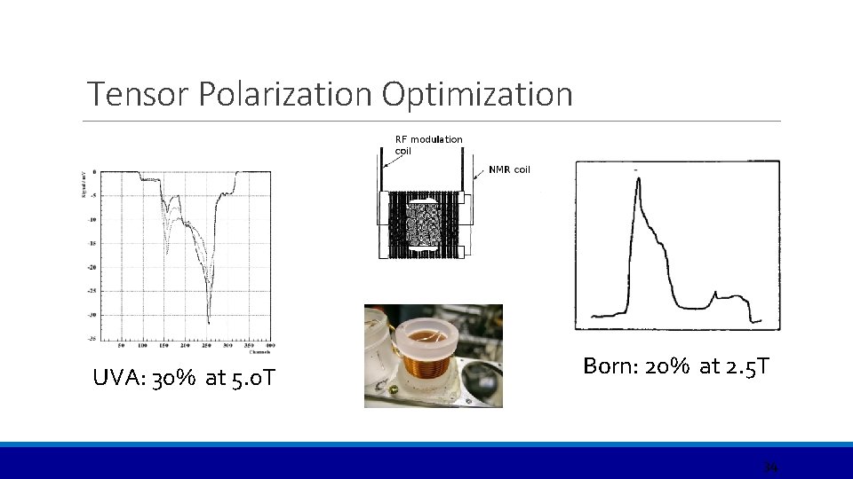 Tensor Polarization Optimization UVA: 30% at 5. 0 T Born: 20% at 2. 5