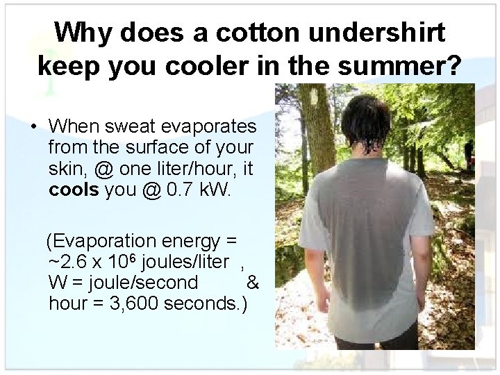 Why does a cotton undershirt keep you cooler in the summer? • When sweat