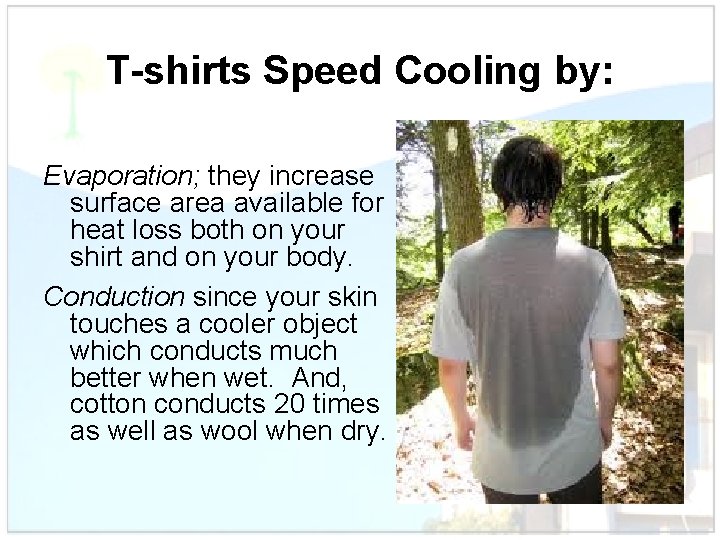 T-shirts Speed Cooling by: Evaporation; they increase surface area available for heat loss both