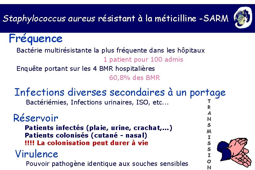 Staphylococcus aureus résistant à la méticilline -SARM Fréquence Bactérie multirésistante la plus fréquente dans