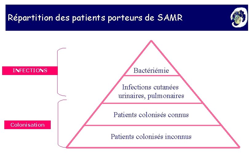 Répartition des patients porteurs de SAMR INFECTIONS Bactériémie Infections cutanées urinaires, pulmonaires Patients colonisés
