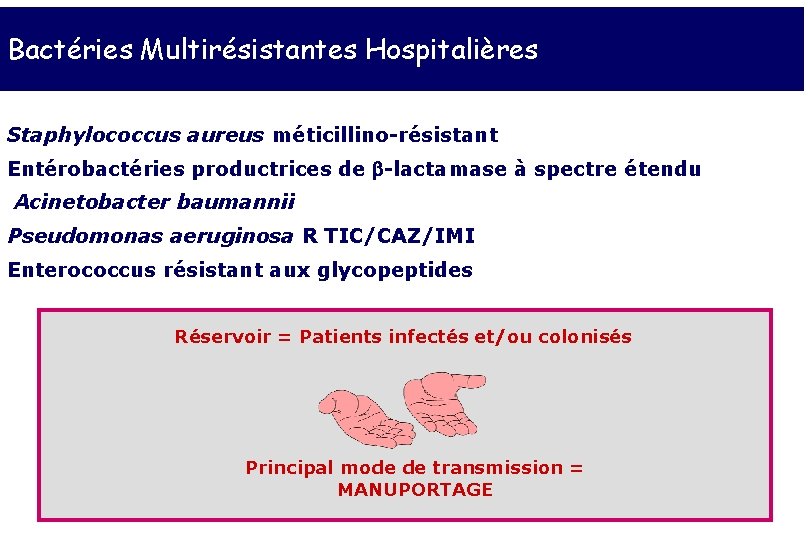 Bactéries Multirésistantes Hospitalières Staphylococcus aureus méticillino-résistant Entérobactéries productrices de b-lactamase à spectre étendu Acinetobacter