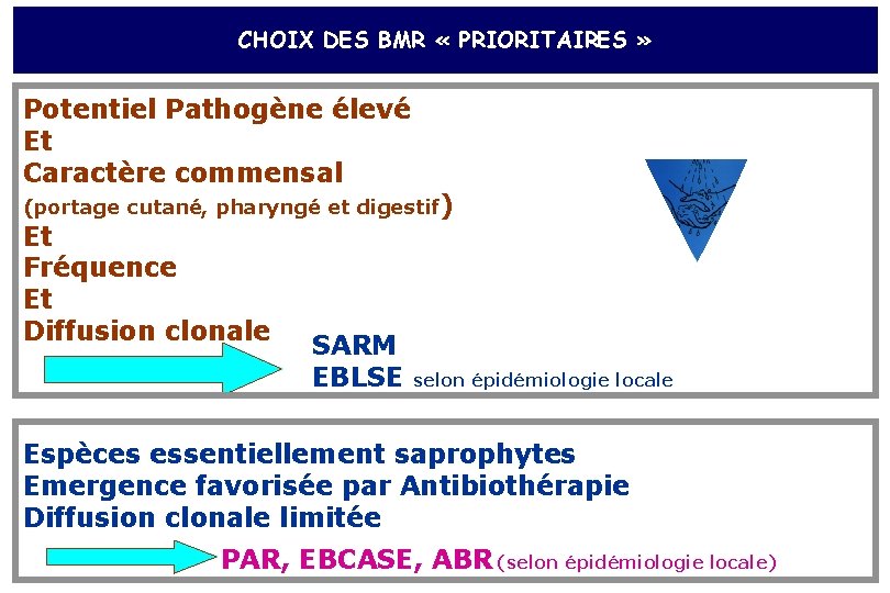 CHOIX DES BMR « PRIORITAIRES » Potentiel Pathogène élevé Et Caractère commensal (portage cutané,