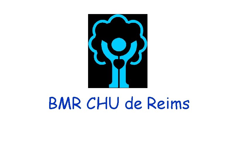 BMR CHU de Reims 