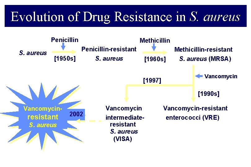 Evolution of Drug Resistance in S. aureus Penicillin S. aureus Methicillin Penicillin-resistant [1950 s]