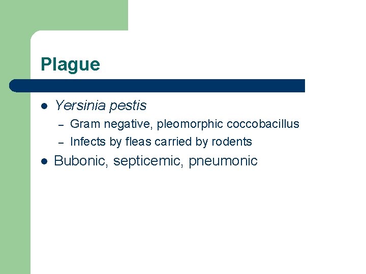 Plague l Yersinia pestis – – l Gram negative, pleomorphic coccobacillus Infects by fleas