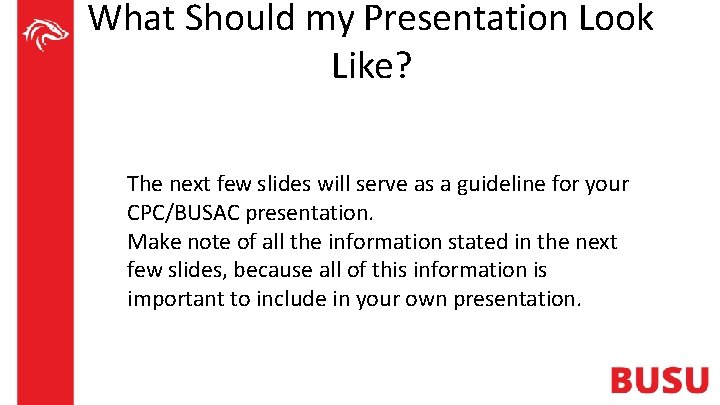 What Should my Presentation Look Like? The next few slides will serve as a