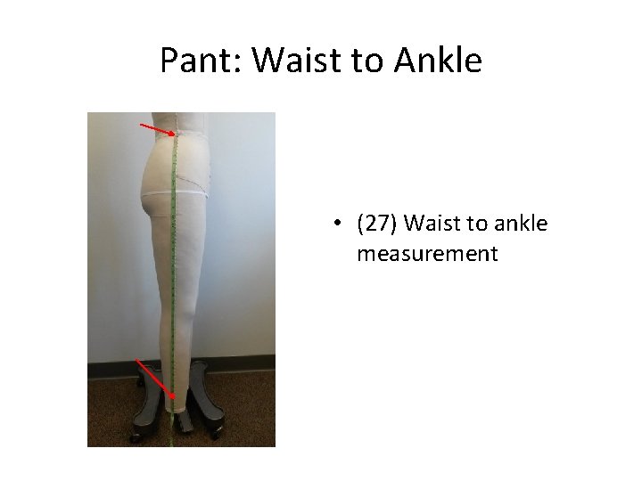 Pant: Waist to Ankle • (27) Waist to ankle measurement 