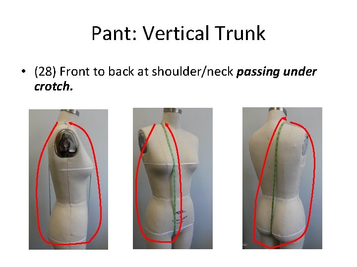 Pant: Vertical Trunk • (28) Front to back at shoulder/neck passing under crotch. 