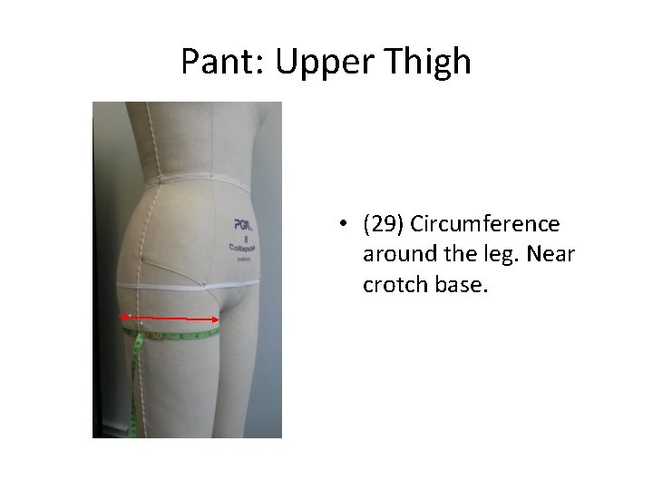 Pant: Upper Thigh • (29) Circumference around the leg. Near crotch base. 