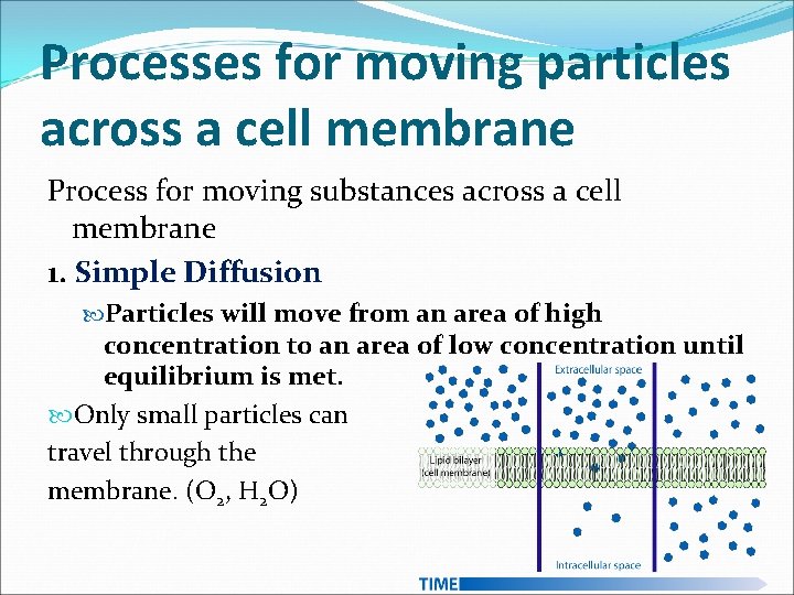 Processes for moving particles across a cell membrane Process for moving substances across a