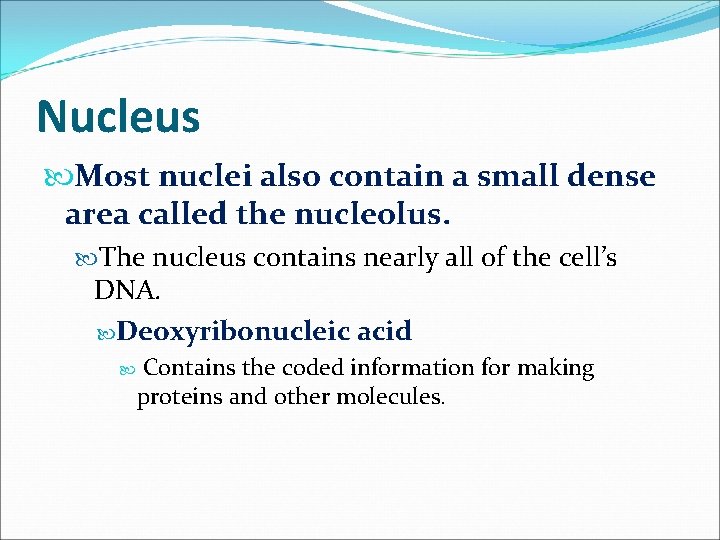 Nucleus Most nuclei also contain a small dense area called the nucleolus. The nucleus