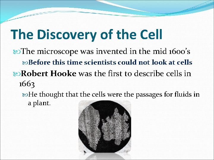 The Discovery of the Cell The microscope was invented in the mid 1600’s Before