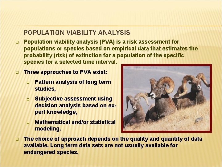 POPULATION VIABILITY ANALYSIS q Population viability analysis (PVA) is a risk assessment for populations