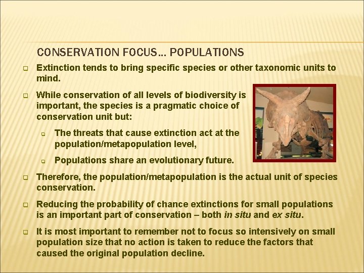 CONSERVATION FOCUS… POPULATIONS q Extinction tends to bring specific species or other taxonomic units