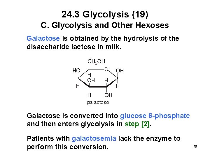 24. 3 Glycolysis (19) C. Glycolysis and Other Hexoses Galactose is obtained by the